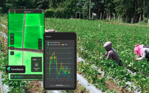 DataYoo Revolutionizes Precision Agriculture with AI Satellite-Powered FarmiSpace Platform